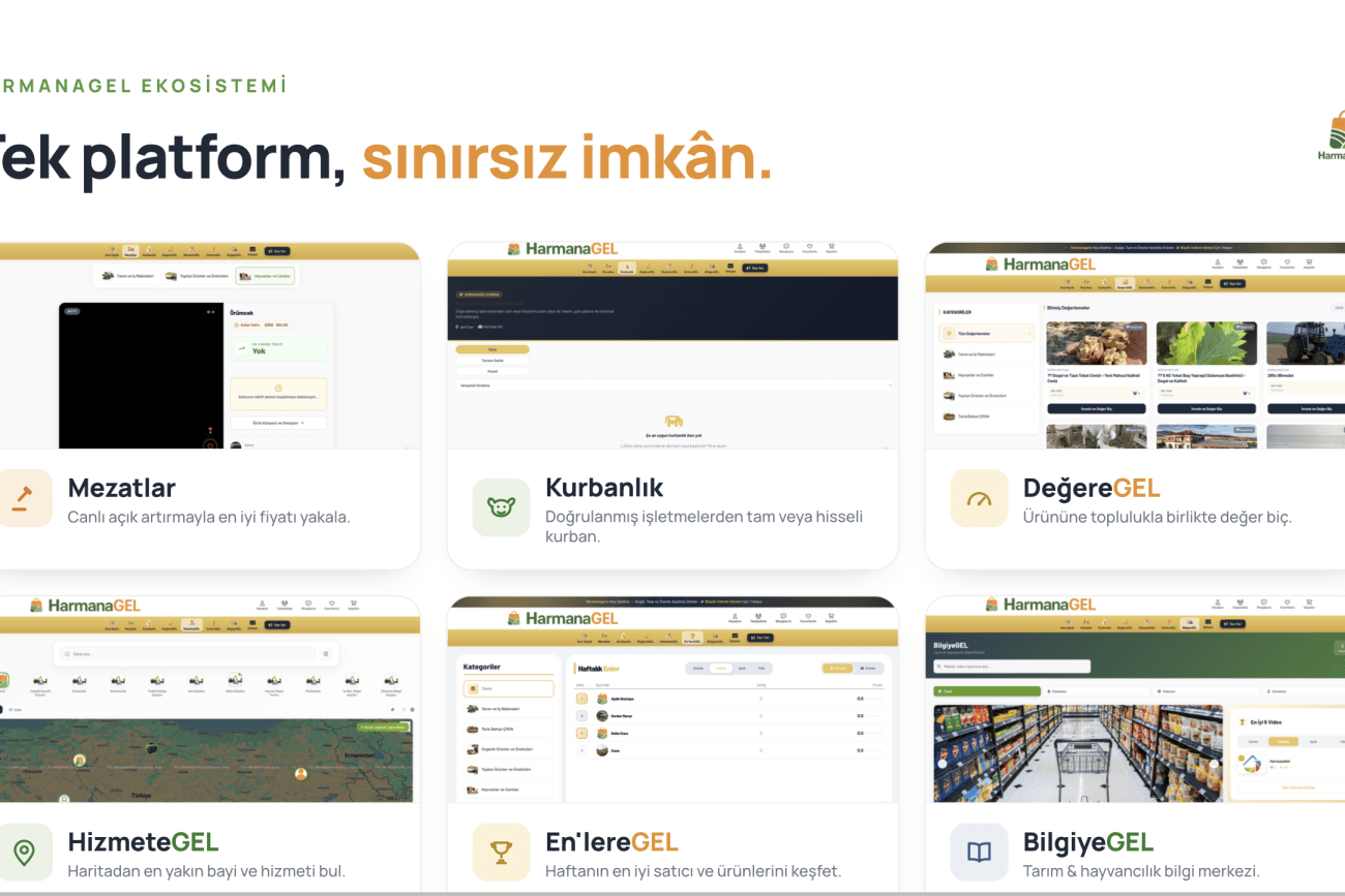 HarmanaGel – Web Sitesi Geliştirme Projesi ekran 3